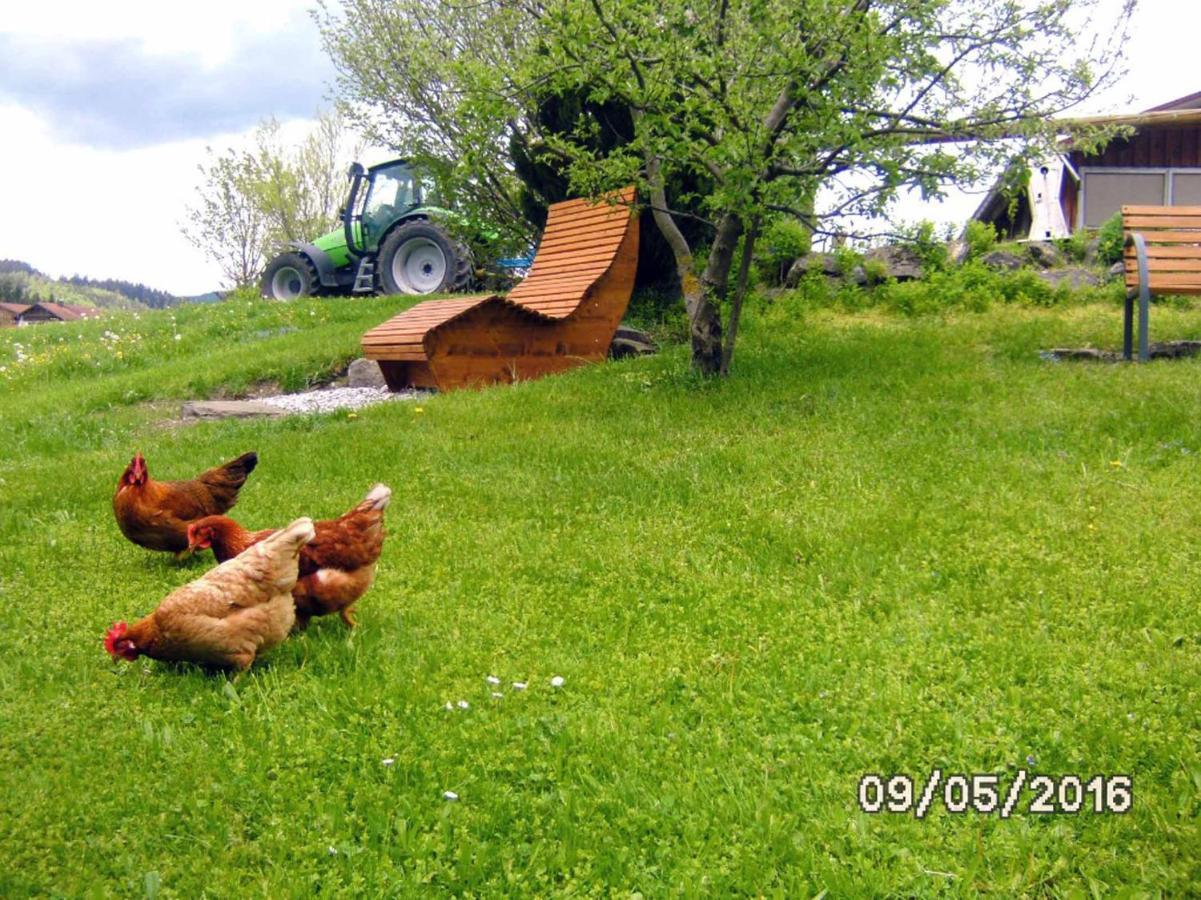 Ferienbauernhof Koepf *